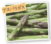 アスパラガス