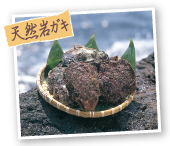 天然岩ガキ