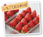 いちご(おとめ心)