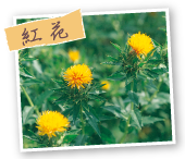紅花