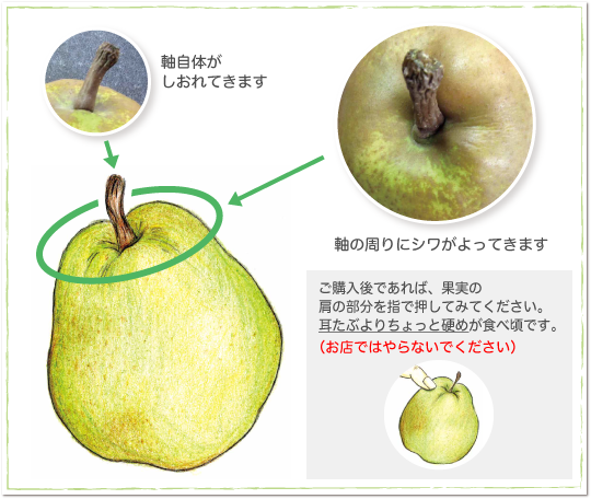 食べ頃