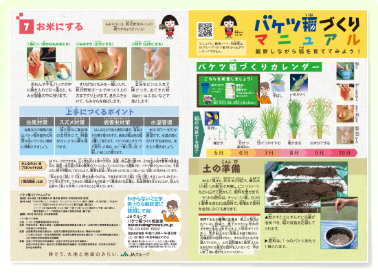 栽培マニュアル