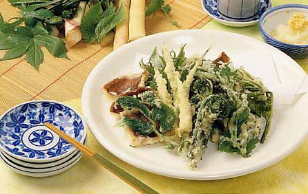 やまがたの郷土料理 春の頃の郷土料理 山菜の天ぷら おいしい山形ホームページ
