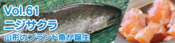 Vol.61：「ニジサクラ」山形のブランド魚が誕生