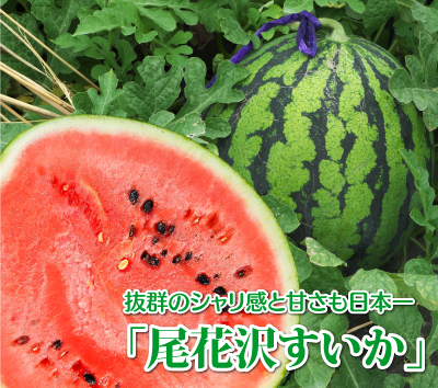 抜群のシャリ感と甘さも日本一「尾花沢すいか」