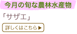 ̏{Ȕ_ѐY