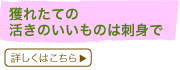 lꂽĂ͎̊̂̂hg