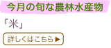̏{Ȕ_ѐY