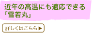 ߔN̍ɂKłuہv