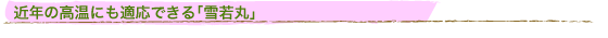 ߔN̍ɂKłuہv