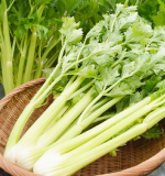 �R�`�Z�����[