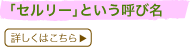 �u�Z�����[�v�Ƃ����Ăі�