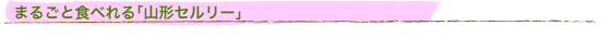 �܂邲�ƐH�ׂ��u�R�`�Z�����[�v
