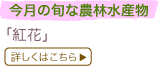 �����̏{�Ȕ_�ѐ��Y��