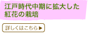 �]�ˎ��㒆���Ɋg�債���g�Ԃ͔̍|