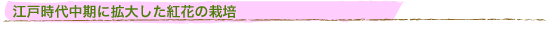�]�ˎ��㒆���Ɋg�債���g�Ԃ͔̍|