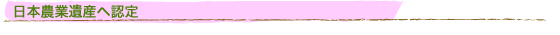 ���{�_�ƈ�Y�֔F��