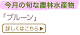 �����̏{�Ȕ_�ѐ��Y��