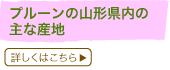 �v���[���̎R�`�����̎�ȎY�n