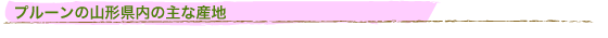 �v���[���̎R�`�����̎�ȎY�n