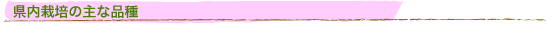 �����͔|�̎�ȕi��