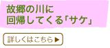 �̋��̐�ɉ�A���Ă���u�T�P�v