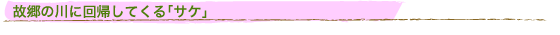 �̋��̐�ɉ�A���Ă���u�T�P�v