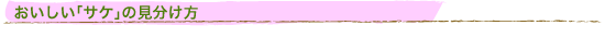 ���������u�T�P�v�̌�������